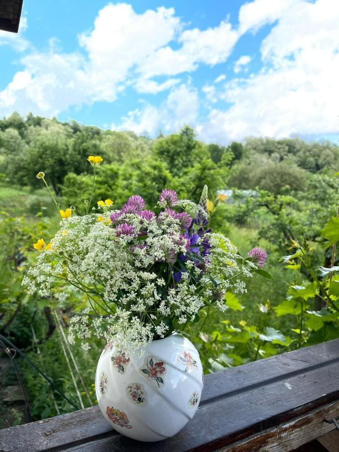 Vila Livada Lui Papu Izvoarele  Exteriér fotografie