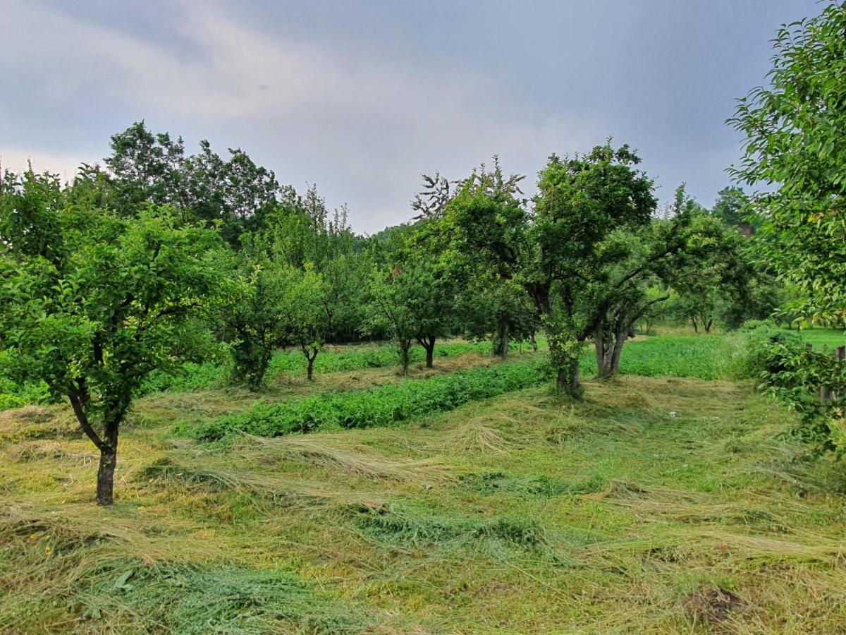 Vila Livada Lui Papu Izvoarele  Exteriér fotografie