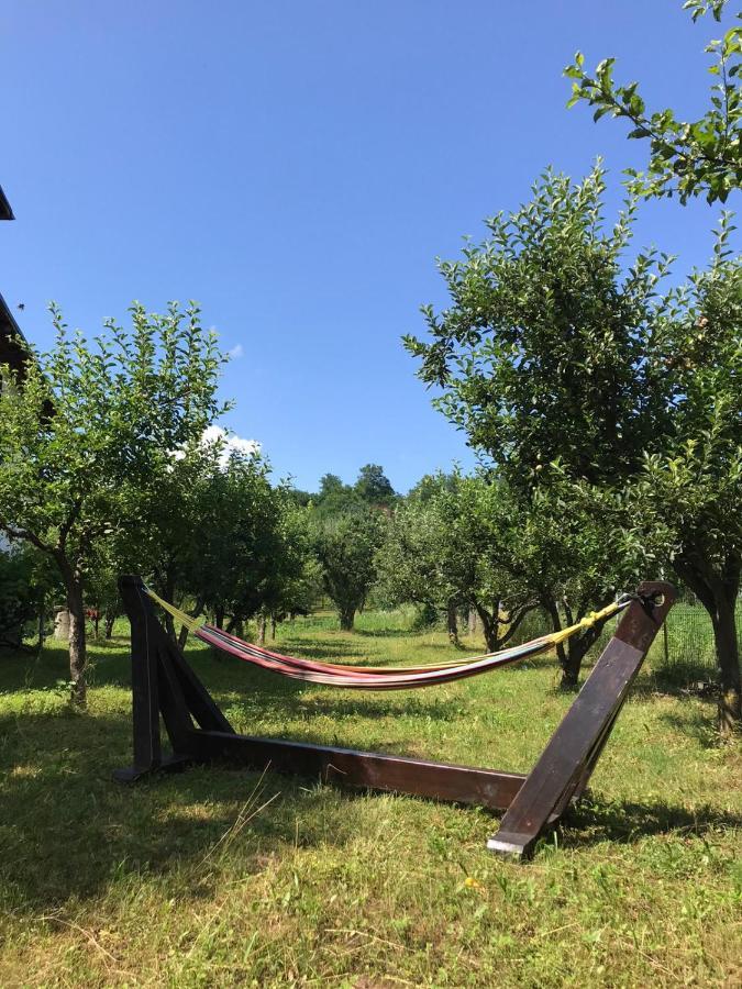 Vila Livada Lui Papu Izvoarele  Exteriér fotografie